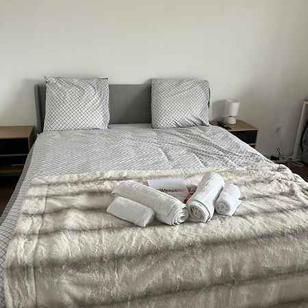 Appartement Luxueux Au Coeur De ลีลล์ ภายนอก รูปภาพ