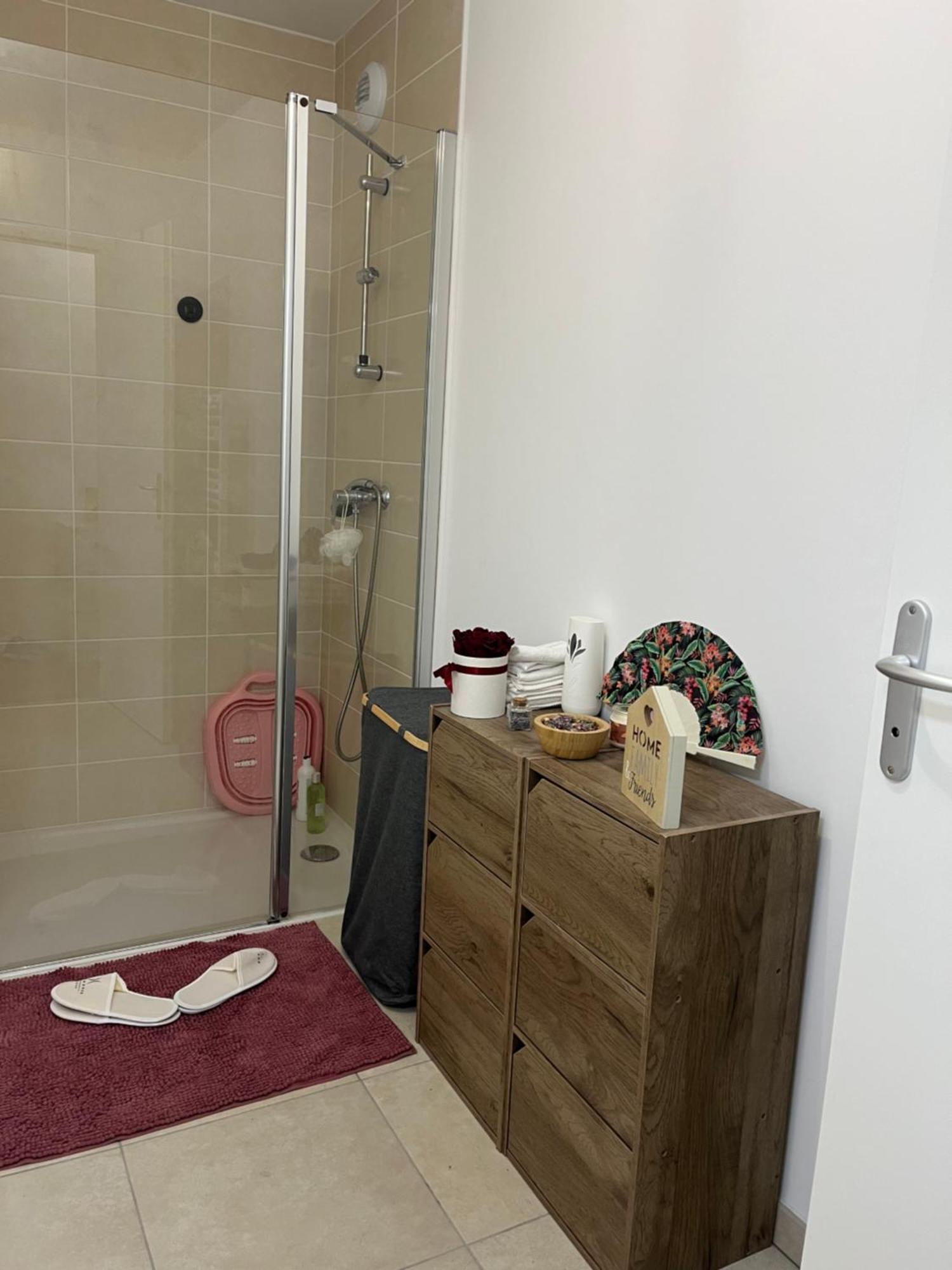 Appartement Luxueux Au Coeur De ลีลล์ ภายนอก รูปภาพ