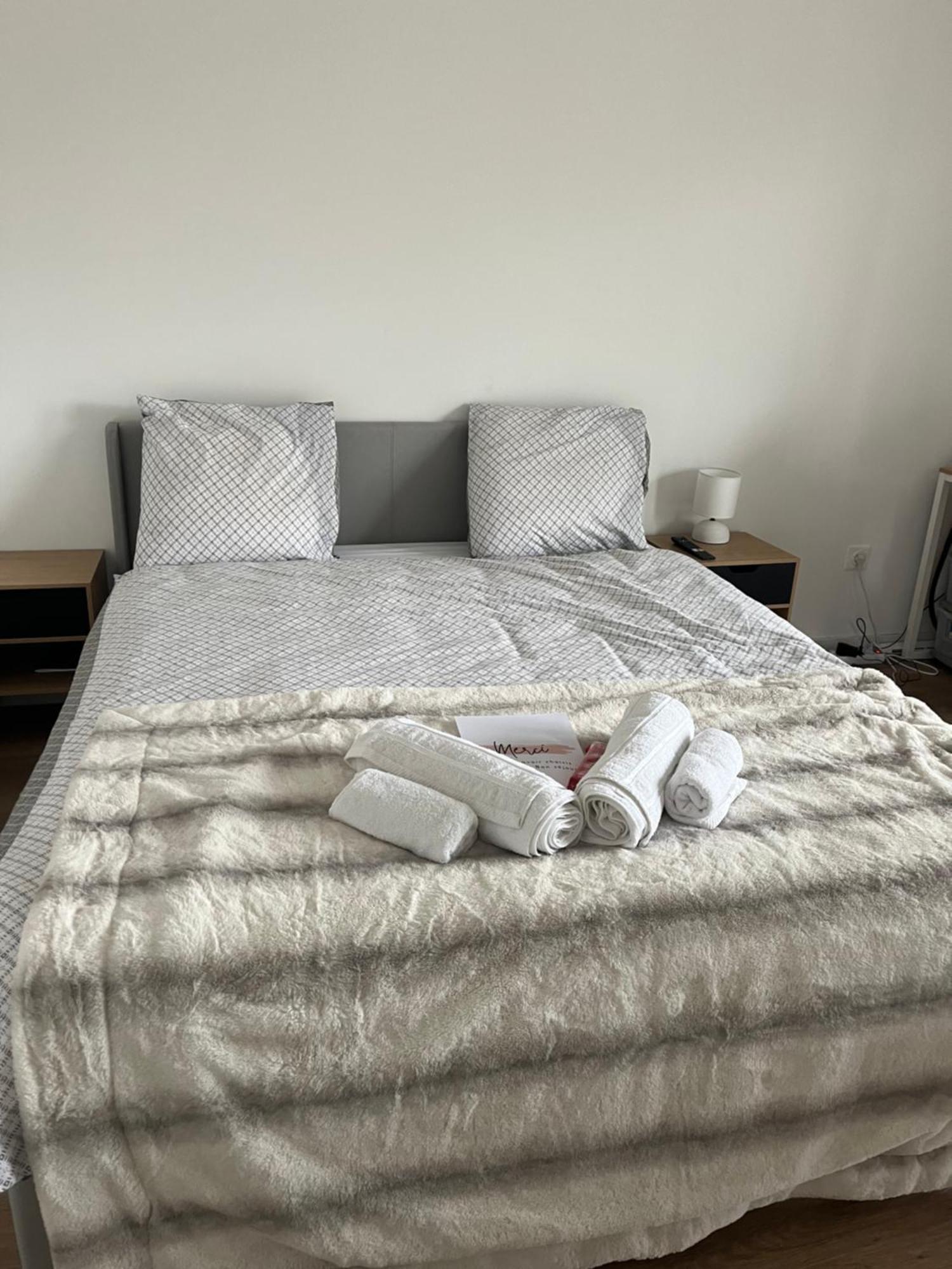 Appartement Luxueux Au Coeur De ลีลล์ ภายนอก รูปภาพ