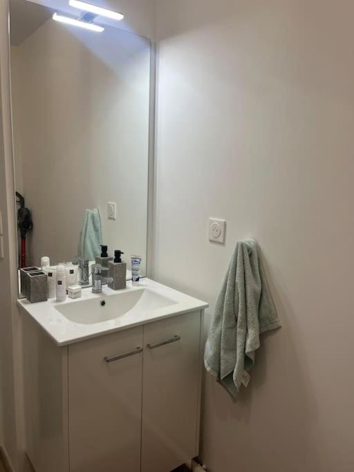 Appartement Luxueux Au Coeur De ลีลล์ ภายนอก รูปภาพ